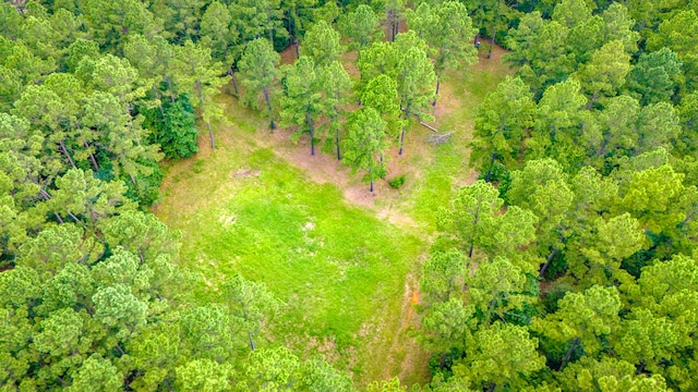 TBD Fm-229, Crockett, TX 75835 - photo 6