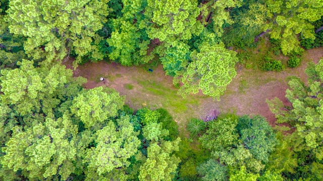 TBD Fm-229, Crockett, TX 75835 - photo 18