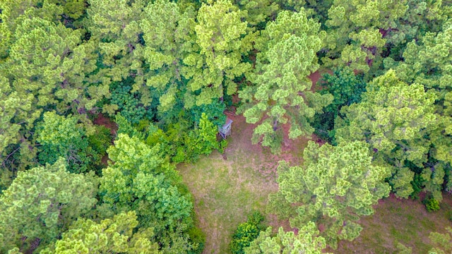 TBD Fm-229, Crockett, TX 75835 - photo 19