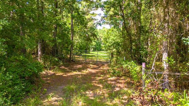 TBD Fm-229, Crockett, TX 75835 - photo 25