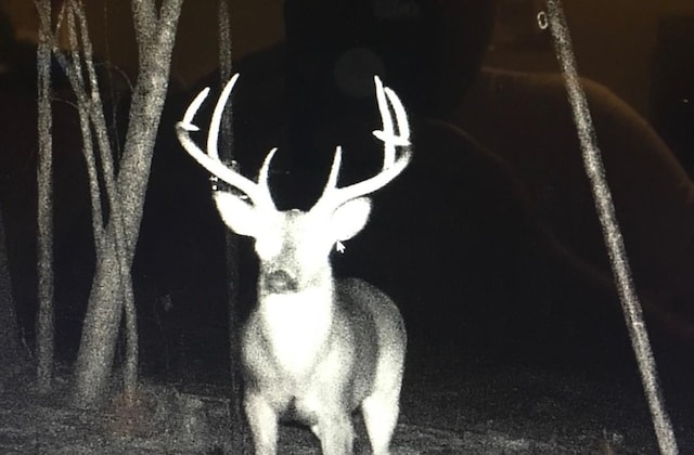 TBD Fm-229, Crockett, TX 75835 - photo 26