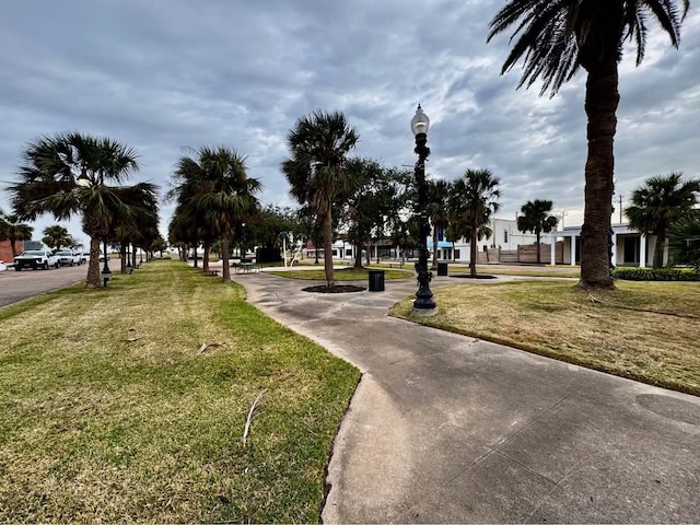 131 W Broad St, Freeport, TX 77541 - photo 7
