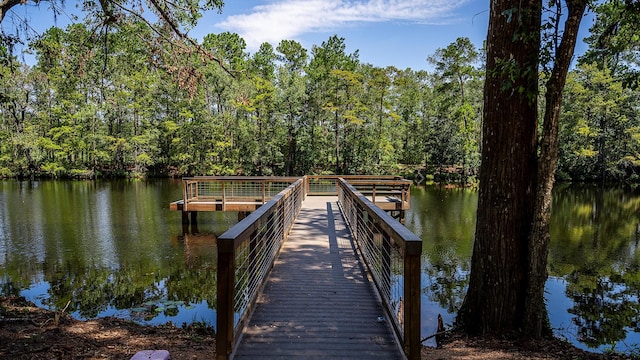 21715 Grayson Highlands Way, Porter, TX 77365 - photo 12