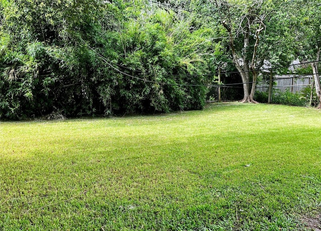 5774 Greencraig Dr, Houston, TX 77035 - photo 14