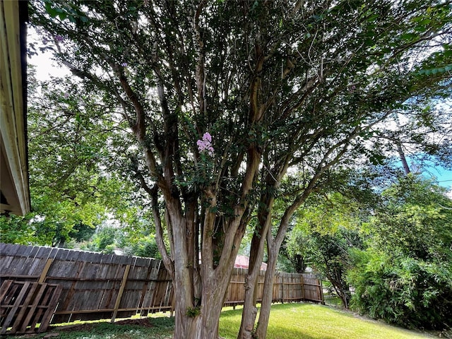 5774 Greencraig Dr, Houston, TX 77035 - photo 15