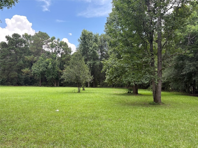 131 County Road 2216, Cleveland, TX 77327 - photo 6