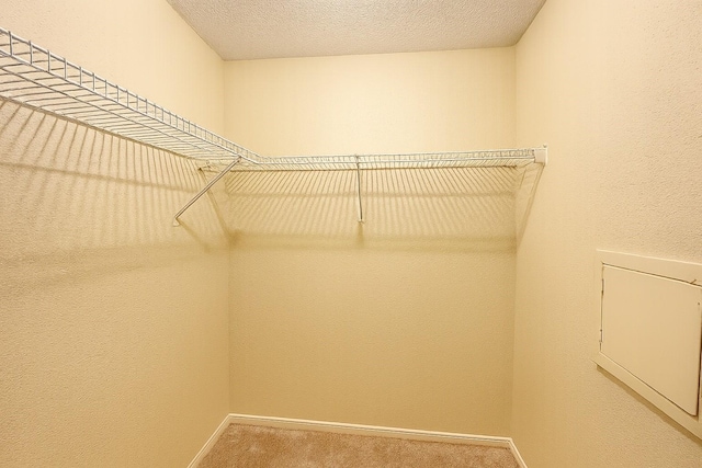 11201 Lynbrook Dr Unit 3826, Houston, TX 77042 - photo 7