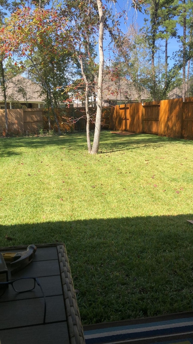 111 Dorado Sky Ct, Conroe, TX 77318 - photo 5