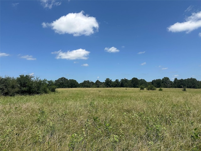 32AC County Road 2521, Oakwood, TX 75855 - photo 5