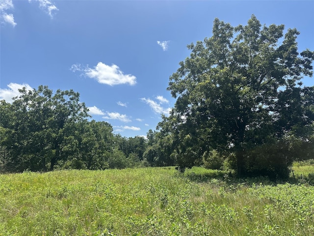 32AC County Road 2521, Oakwood, TX 75855 - photo 4