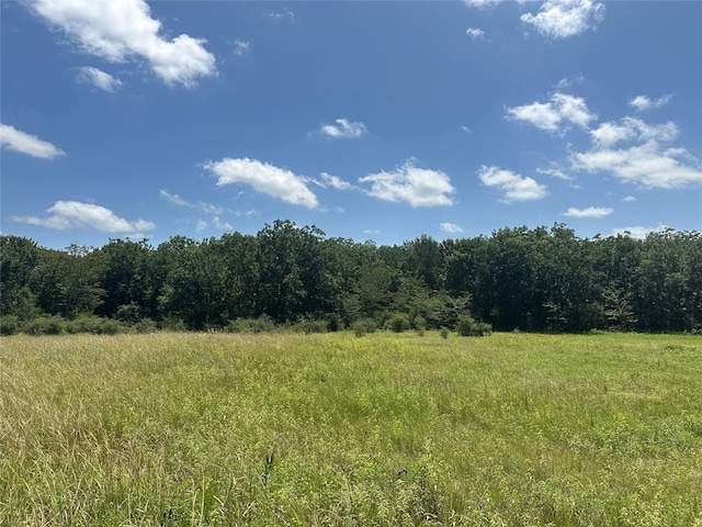 32AC County Road 2521, Oakwood, TX 75855 - photo 6