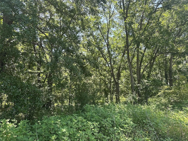 32AC County Road 2521, Oakwood, TX 75855 - photo 7