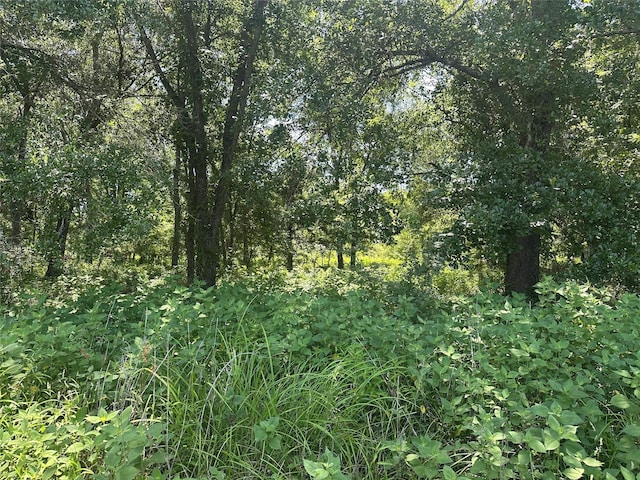 32AC County Road 2521, Oakwood, TX 75855 - photo 8