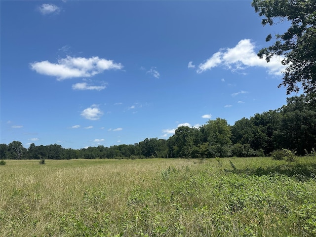 32AC County Road 2521, Oakwood, TX 75855 - photo 9