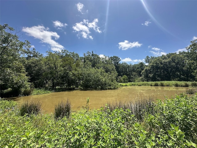 32AC County Road 2521, Oakwood, TX 75855 - photo 10