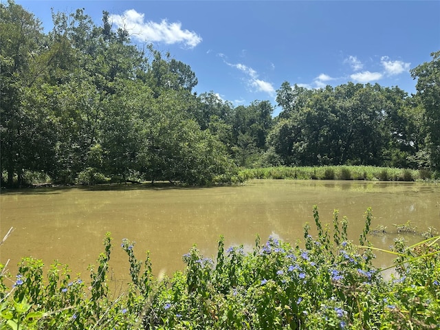 32AC County Road 2521, Oakwood, TX 75855 - photo 1