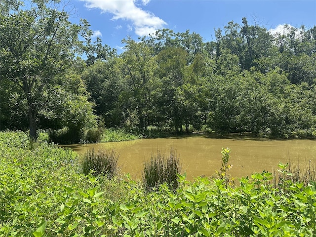32AC County Road 2521, Oakwood, TX 75855 - photo 11