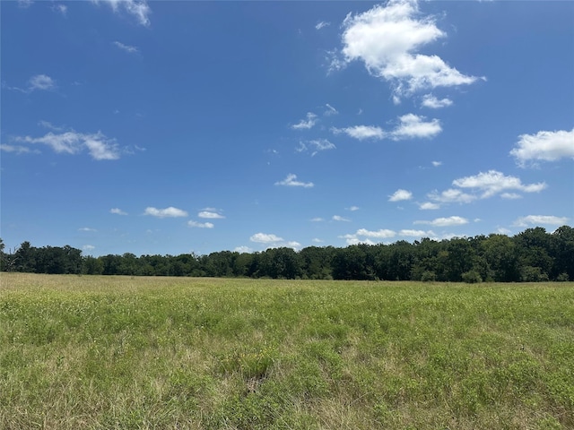 32AC County Road 2521, Oakwood, TX 75855 - photo 12