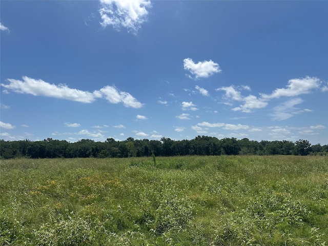 32AC County Road 2521, Oakwood, TX 75855 - photo 14