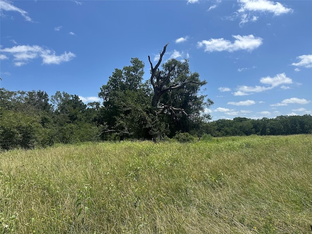 32AC County Road 2521, Oakwood, TX 75855 - photo 15