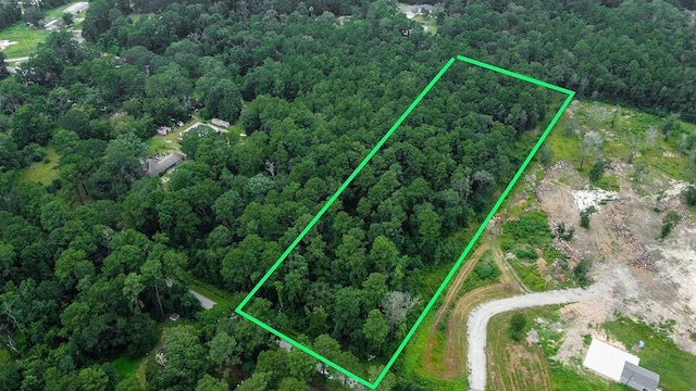 18737 Vick Cemetery Rd, Conroe, TX 77306 - photo 1