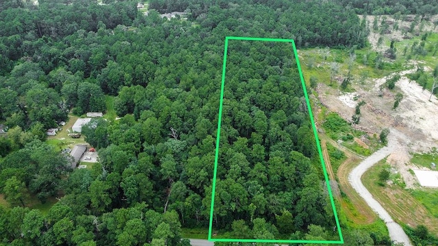 18737 Vick Cemetery Rd, Conroe, TX 77306 - photo 3