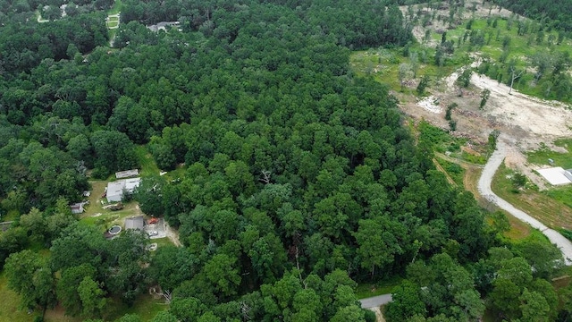 18737 Vick Cemetery Rd, Conroe, TX 77306 - photo 4