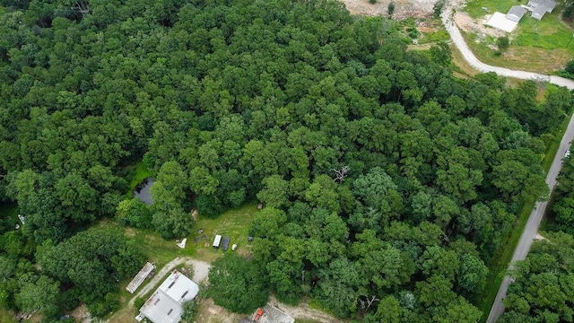 18737 Vick Cemetery Rd, Conroe, TX 77306 - photo 7