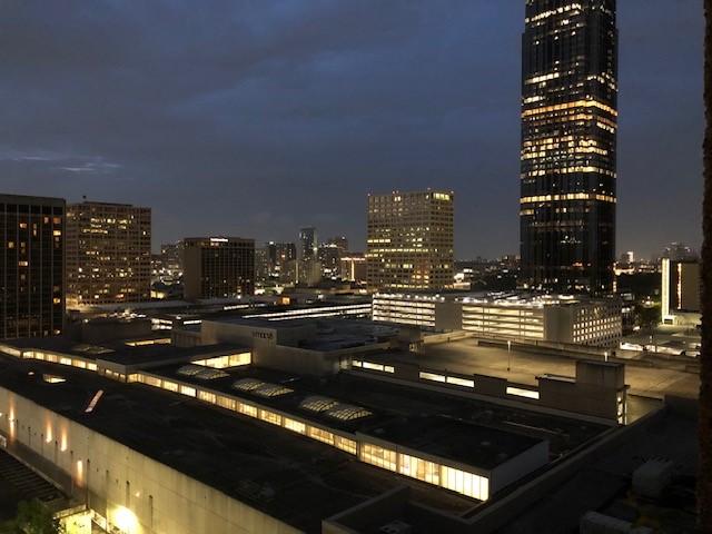 5150 Hidalgo St Unit 1702, Houston, TX 77056 - photo 40