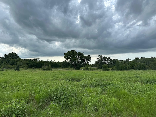 8616 Schuster Rd, Ledbetter, TX 78946 - photo 2