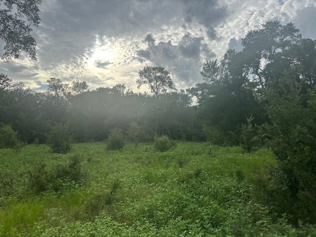 8616 Schuster Rd, Ledbetter, TX 78946 - photo 3