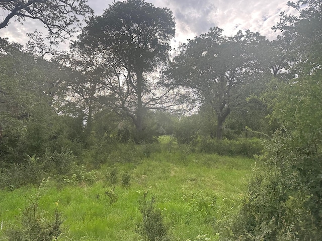 8616 Schuster Rd, Ledbetter, TX 78946 - photo 4
