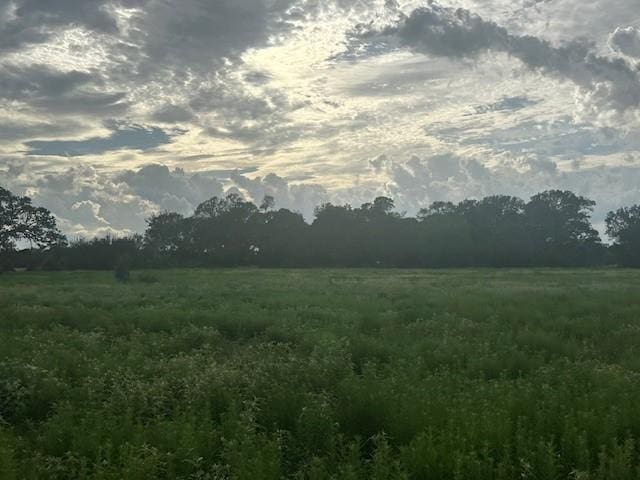 8616 Schuster Rd, Ledbetter, TX 78946 - photo 5