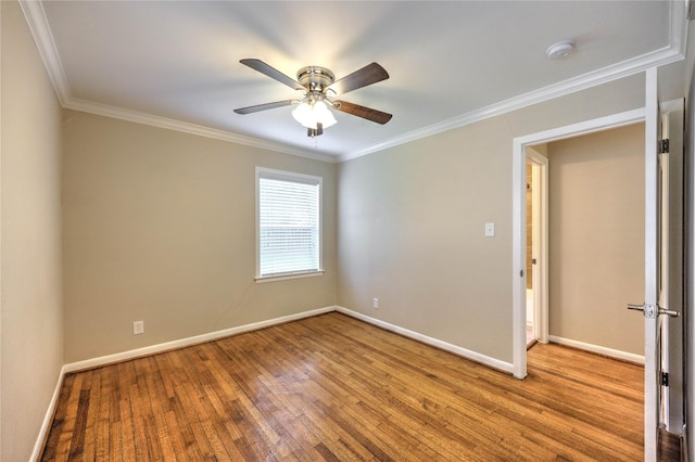 6817 Roos Rd, Houston, TX 77074 - photo 16