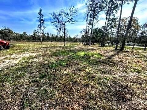 24340 Weeren Rd, Montgomery, TX 77316 - photo 1