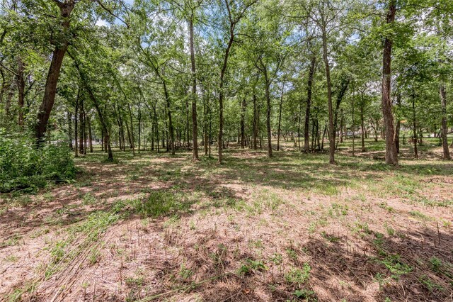 7A Hickory Ln, Huntsville, TX 77340 - photo 29