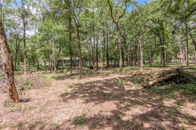 7A Hickory Ln, Huntsville, TX 77340 - photo 28