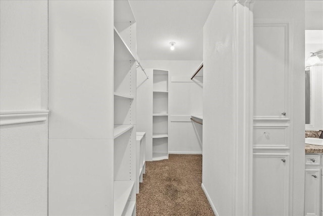 1017 Tipperary Ave, Friendswood, TX 77546 - photo 20