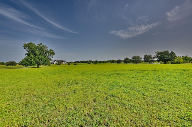 1260 Bartlett Rd, Sealy, TX 77474 - photo 18