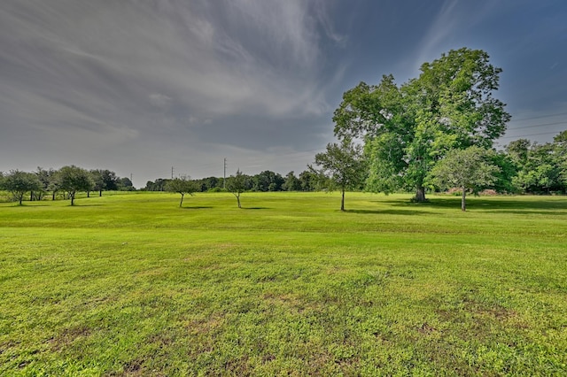 1260 Bartlett Rd, Sealy, TX 77474 - photo 23