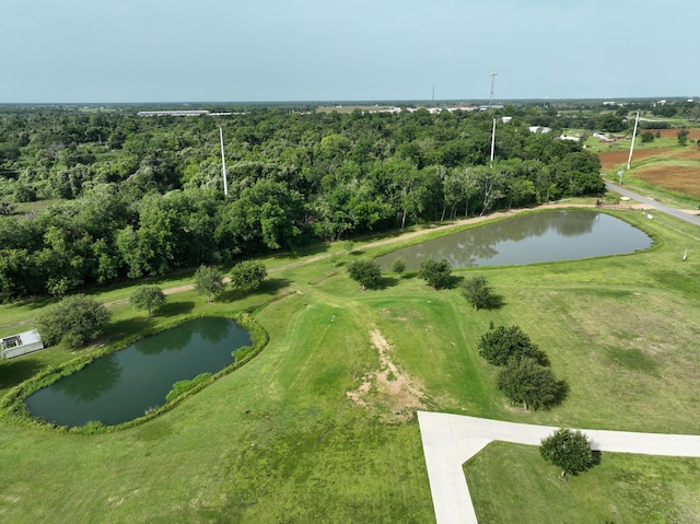 1260 Bartlett Rd, Sealy, TX 77474 - photo 9