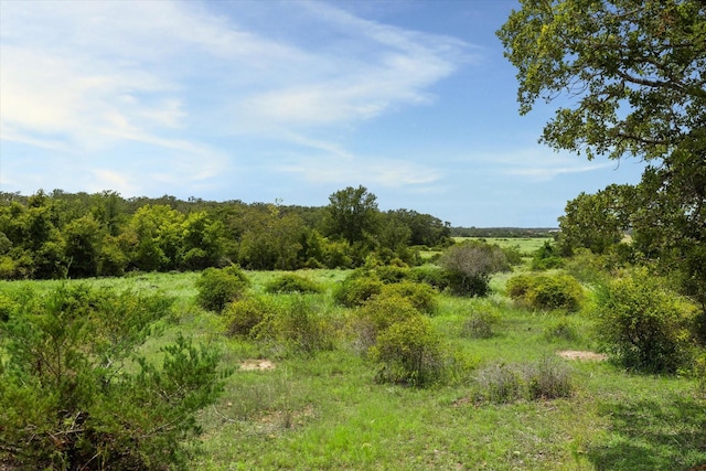1434 County Road 139, Giddings, TX 78942 - photo 3