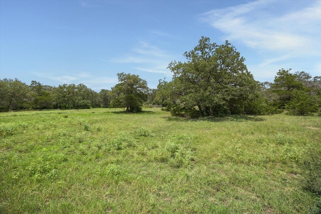 1434 County Road 139, Giddings, TX 78942 - photo 6