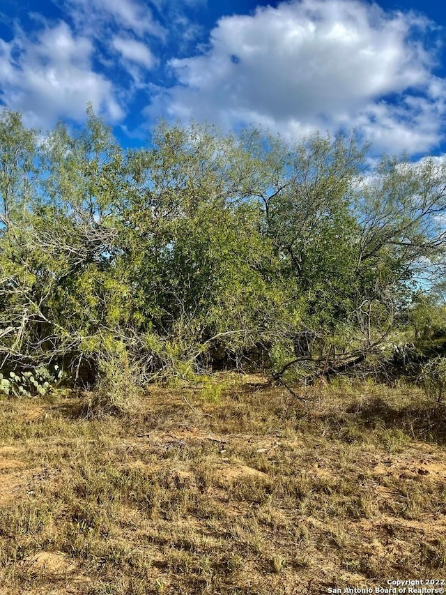 1003 Rawhide Rd, Seguin, TX 78155 - photo 8