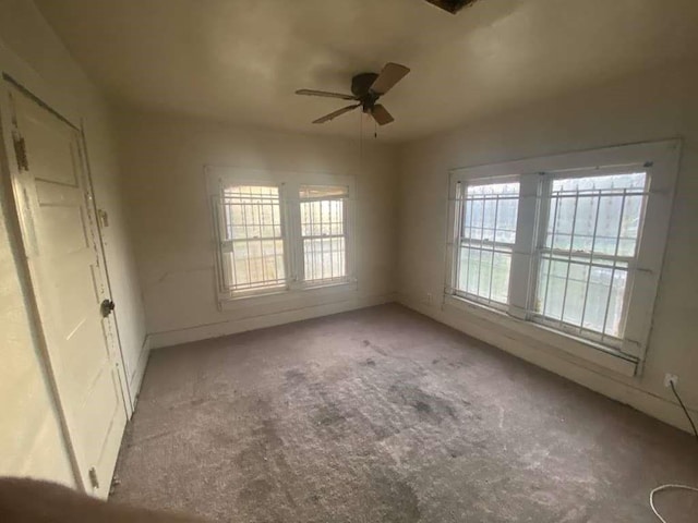 2805 Brackenridge St, Houston, TX 77026 - photo 8