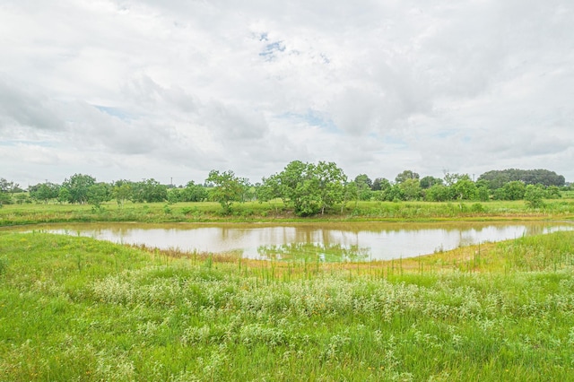 52.5ACRES Bernardo Rd, Cat Spring, TX 78933 - photo 7