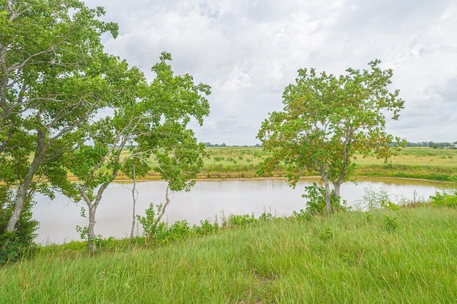 52.5ACRES Bernardo Rd, Cat Spring, TX 78933 - photo 9