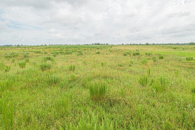 52.5ACRES Bernardo Rd, Cat Spring, TX 78933 - photo 10