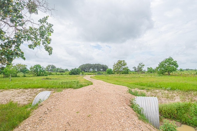 52.5ACRES Bernardo Rd, Cat Spring, TX 78933 - photo 2
