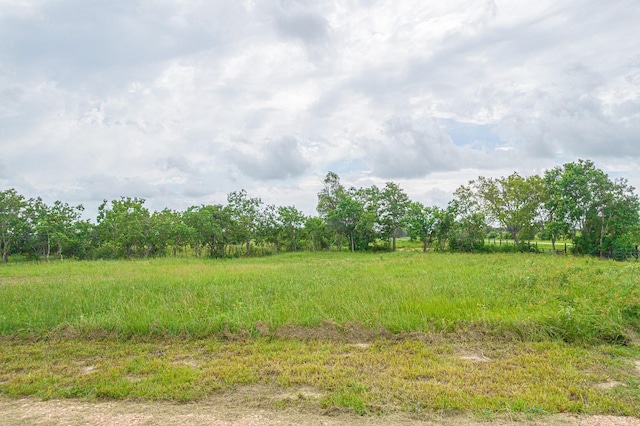 52.5ACRES Bernardo Rd, Cat Spring, TX 78933 - photo 12